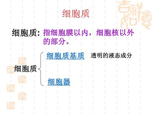 细胞质的结构和功能