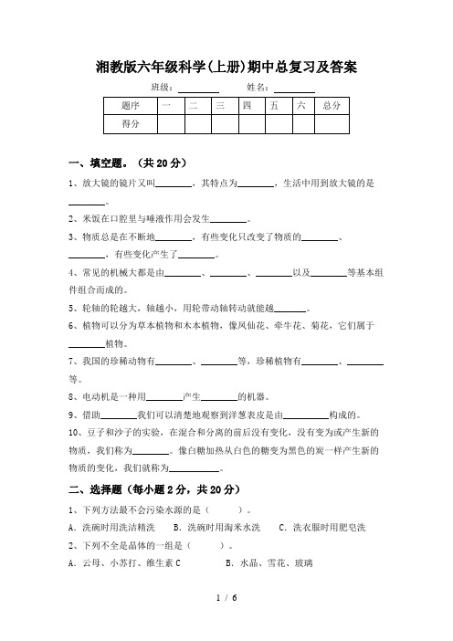 湘教版六年级科学(上册)期中总复习及答案