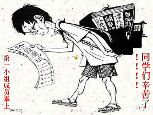 泵的设计和理论