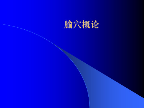 腧穴总论-精品中医课件