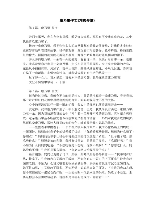 康乃馨作文(精选多篇)