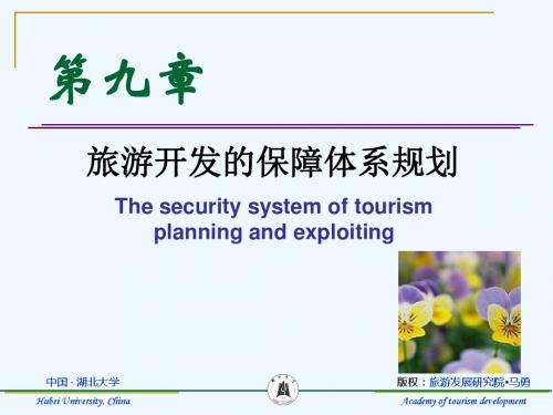 马勇第九章旅游开发的保障体系规划