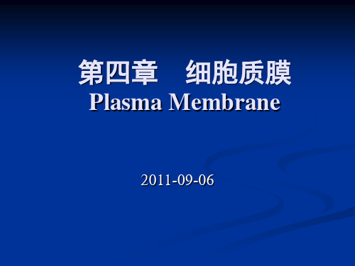 细胞生物学细胞质膜