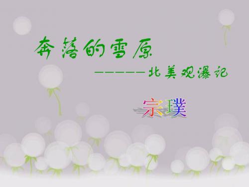 《奔落的雪原》课件