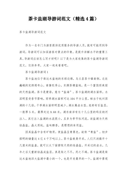 茶卡盐湖导游词范文(精选4篇)