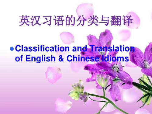 17idiom习语的翻译