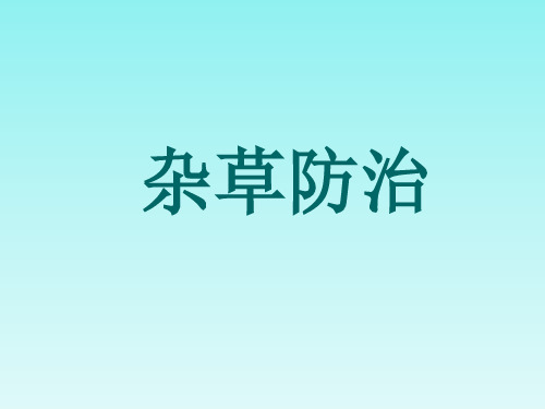2024年杂草防治