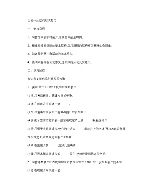 中考生物体的结构层次复习汇总