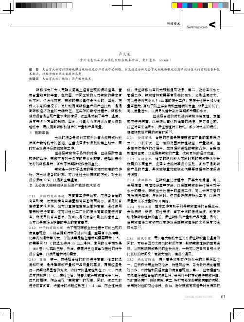 无公害大棚辣椒秋延后高产栽培技术