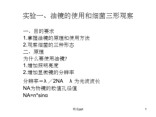 实验一、油镜的使用和细菌三型的观察ppt课件