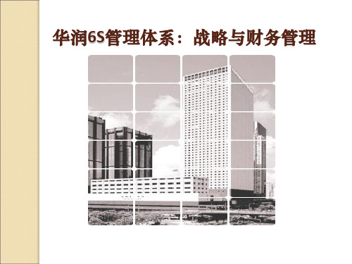 华润6S管理体系：战略与财务管理(PPT 26页)