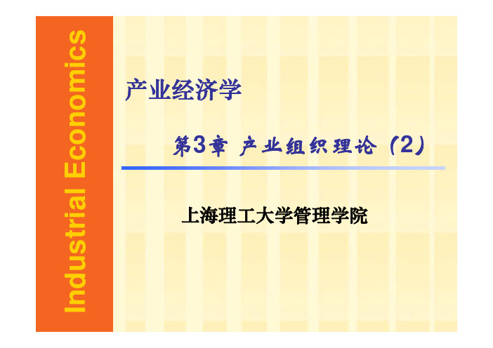 组织设计-产业经济学-产业组织理论