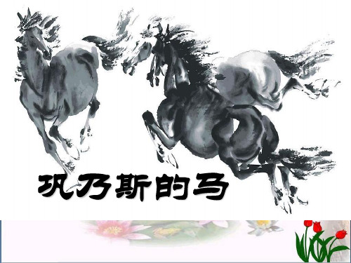 《巩乃斯的马》5精品 课件 