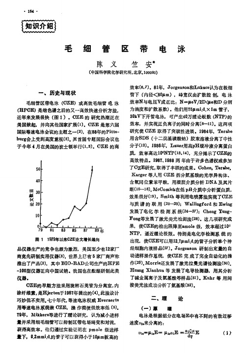 毛细管区带电泳
