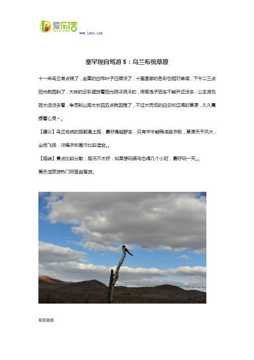 塞罕坝自驾游5：乌兰布统草原