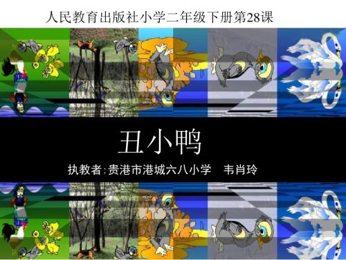 二年级语文丑小鸭课件3