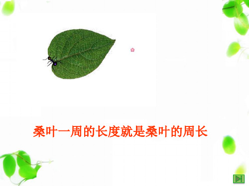 三年级下册数学课件-6.1周长▏沪教版