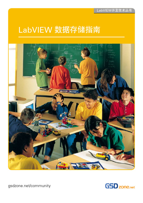 LabVIEW 数据存储指南
