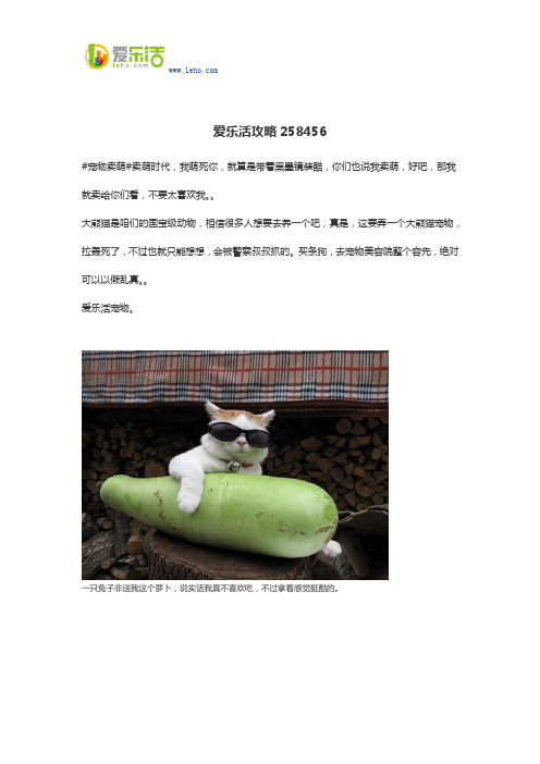 爱乐活攻略258456