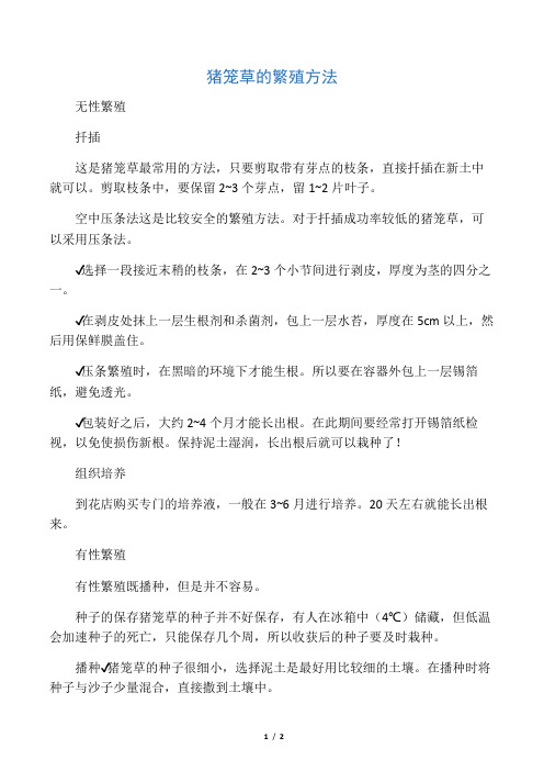 猪笼草的繁殖方法