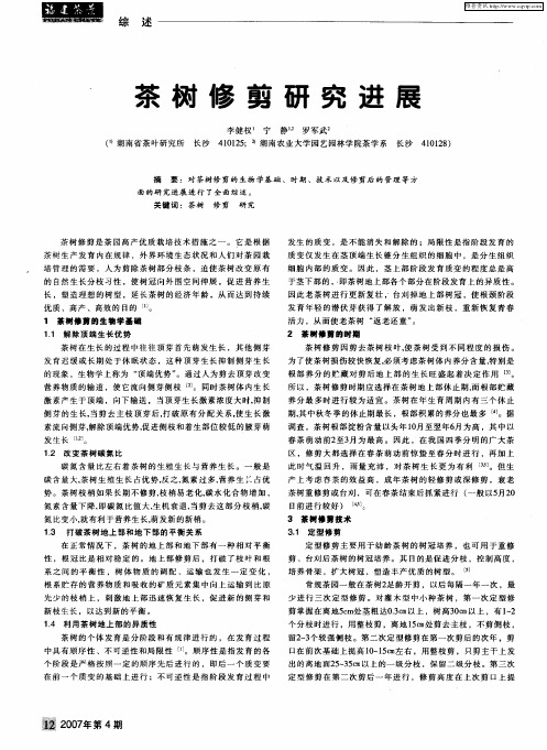 茶树修剪研究进展