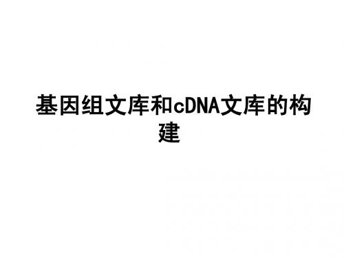12 第十二讲  DNA文库的构建