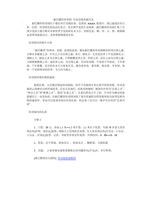 勐巴娜西珍奇园 尽显边境美丽风光