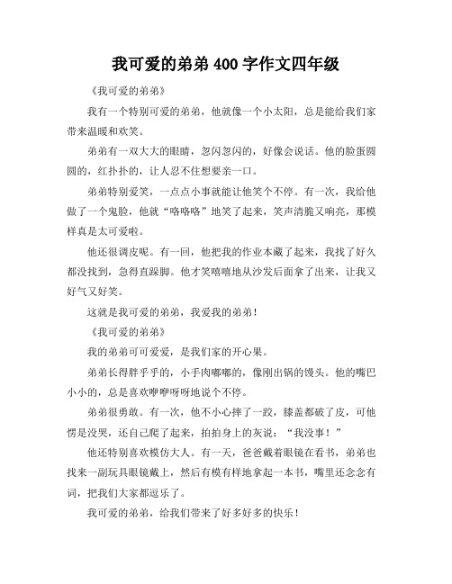 我可爱的弟弟400字作文四年级