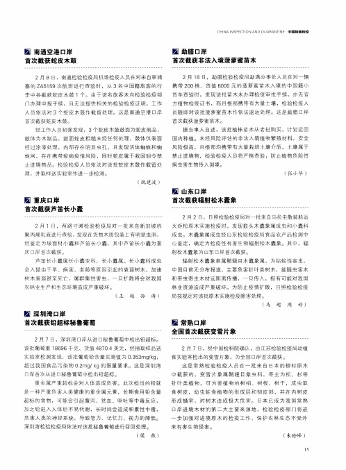 勐腊口岸首次截获非法入境菠萝蜜苗木