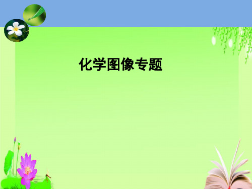 最新中考化学专项复习图像专项 (共13张PPT)教育课件