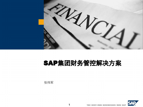 SAP 集团财务方案PPT幻灯片课件