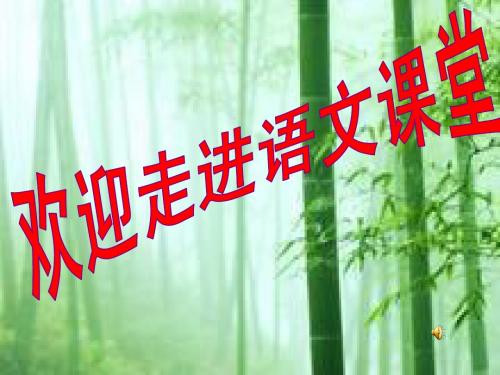 《乡土情结》课件