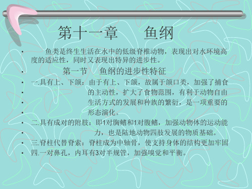 第九章   鱼纲