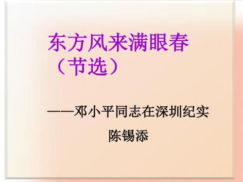 东方风来满眼春 PPT课件11
