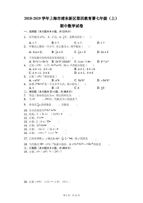 2018-2019学年上海市浦东新区第四教育署七年级(上)期中数学试卷