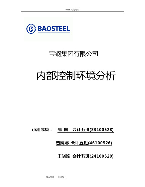 宝钢集团有限公司内部控制环境分析报告