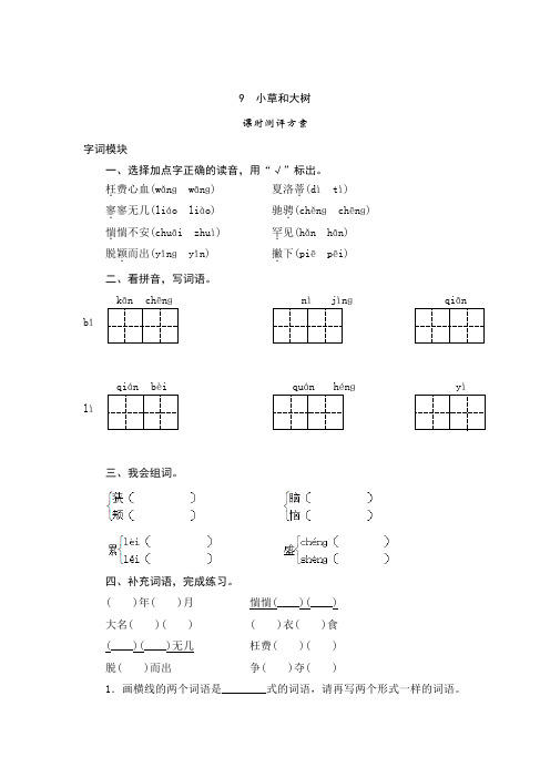 苏教版六年级语文上册9 小草和大树-课时测评试卷及答案
