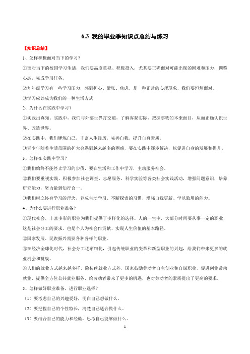 专题6.3 我的毕业季(知识点总结与练习)(原卷版)九年级道德与法治下册同步高效备课(部编版)ppt