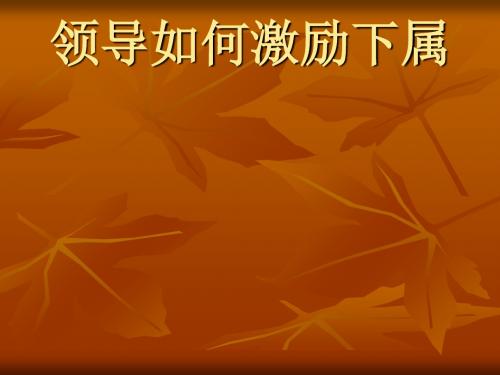 领导如何激励下属培训讲义(ppt44张)