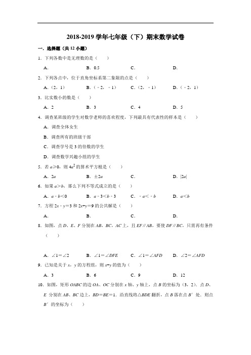 天津市滨海新区2018-2019学年七年级(下)期末数学试卷  含解析