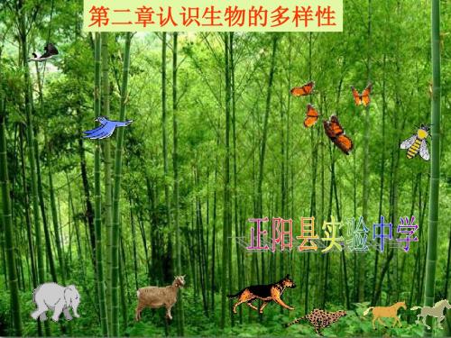第六单元_第二章认识生物的多样性