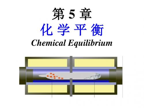 大学无机化学(吉林大学、武汉大学、南开大学版) 第5章 化学平衡—— 内蒙古民族大学剖析