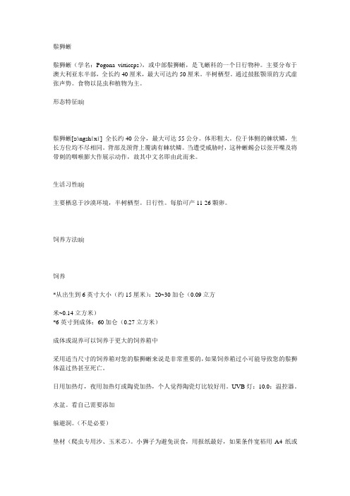 鬃狮蜥