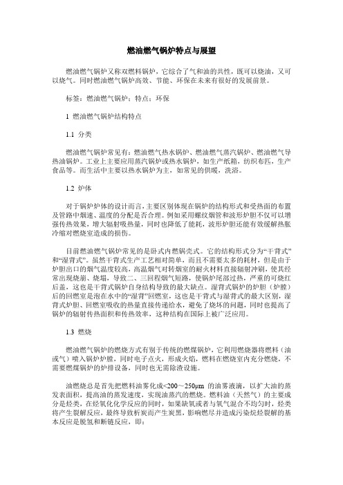 燃油燃气锅炉特点与展望