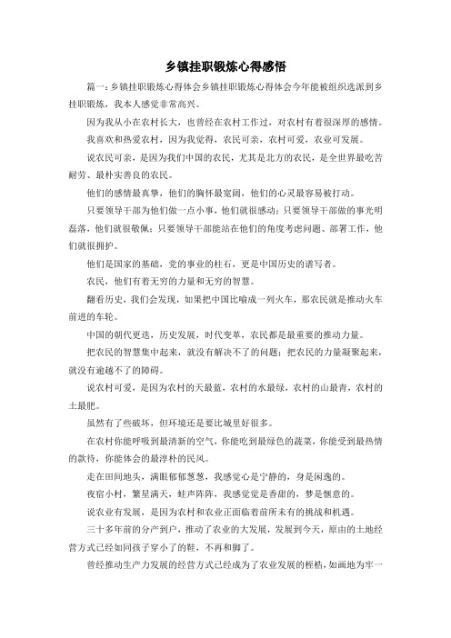 最新-乡镇挂职锻炼心得感悟 精品