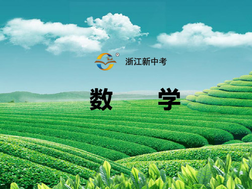 第3课时   分 式