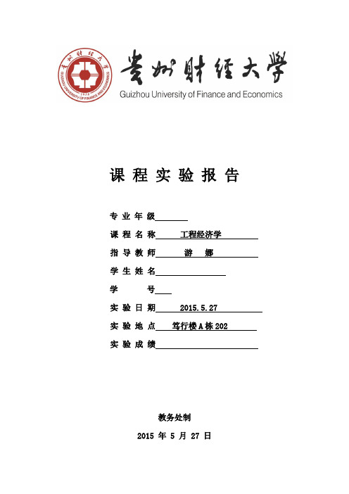 精选-工程经济学实验三
