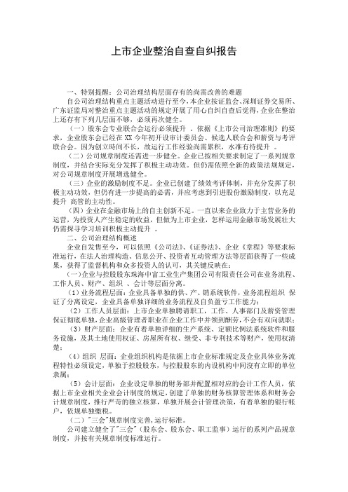 上市企业整治自查自纠报告