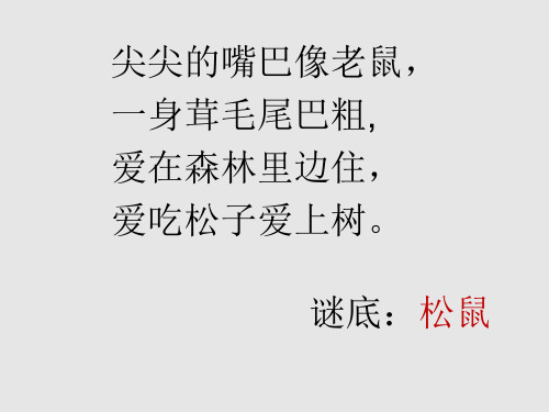 三年级下册语文课件-25那只松鼠  湘教2011课标版(共30张PPT)