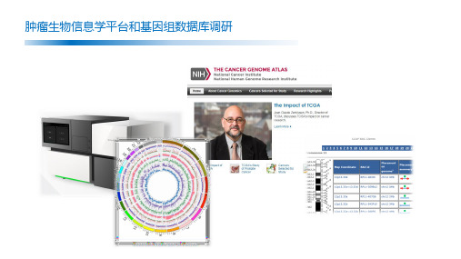 肿瘤生物医学信息整合-2